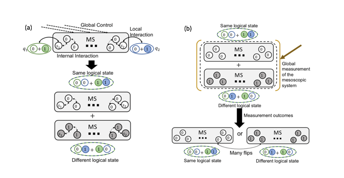 Mesoscopic systems as coherent control elements