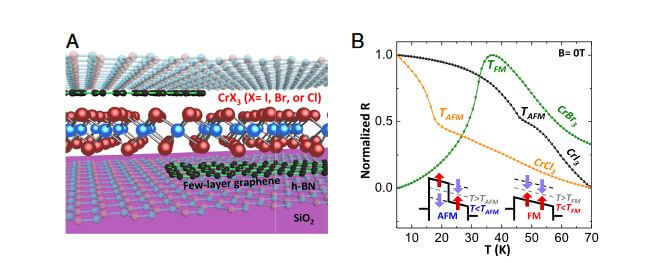 Two-Dimensional Quantum Materials and Heterostructures