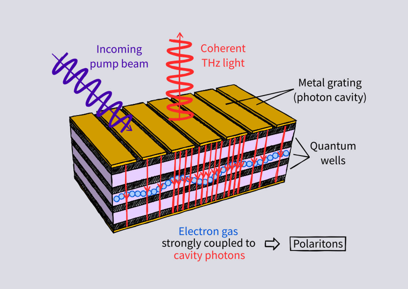 Development of Terahertz Polariton Lasers