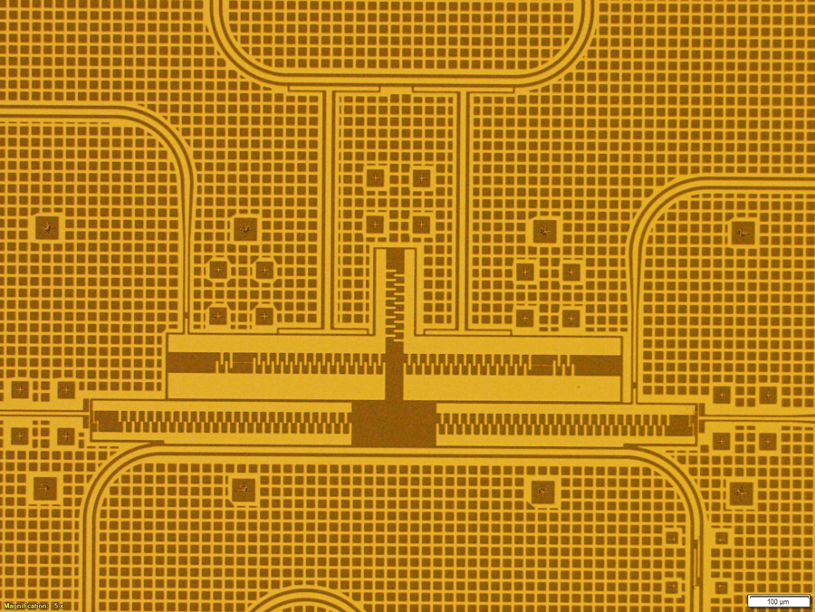 Quantum Simulation of Strongly Coupled Field Theories