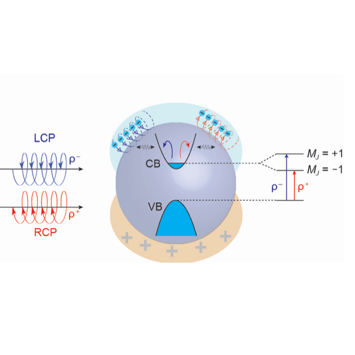 Plasmon Control of Quantum States in Semiconductor Nanocrystals