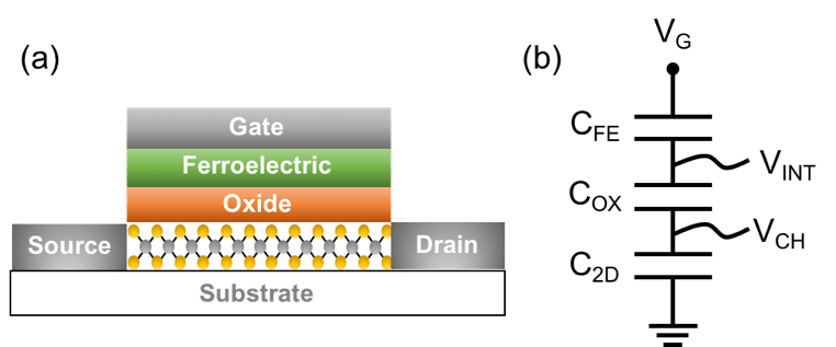 Harnessing the Promise of Quantum Materials for Future Electronic Devices