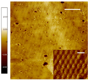 Scanning Tunneling Microscopy of Quantum Materials, Devices and Molecules