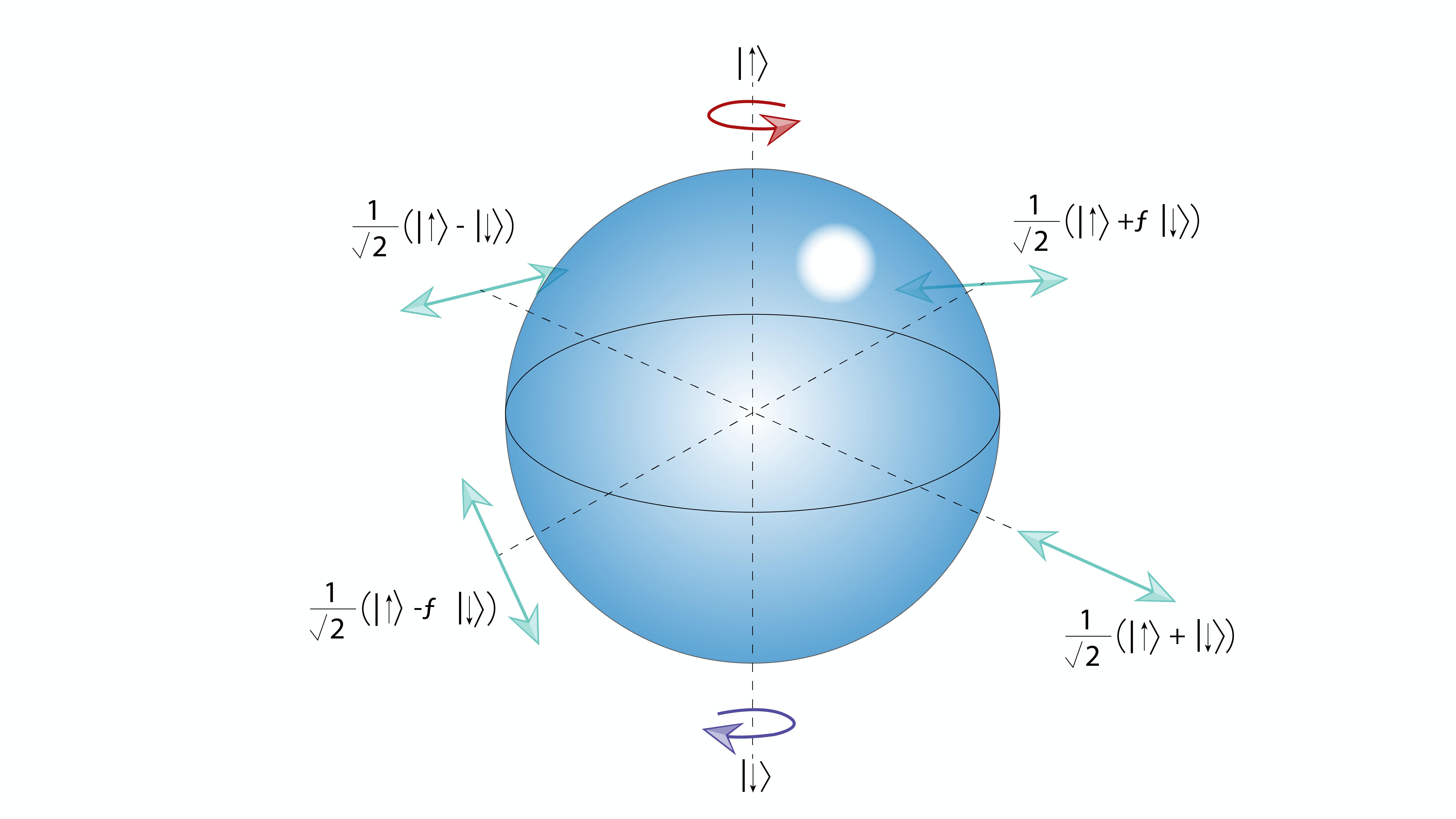 Ultrafast Dynamical Studies of Valley-Based Qubits