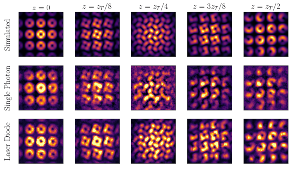 Entangled Photon Orbital Angular Momentum Arrays