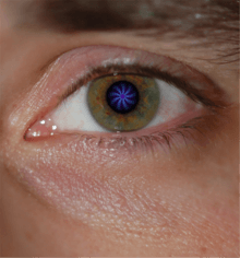 Macular degeneration diagnostic tool hidden in plain sight