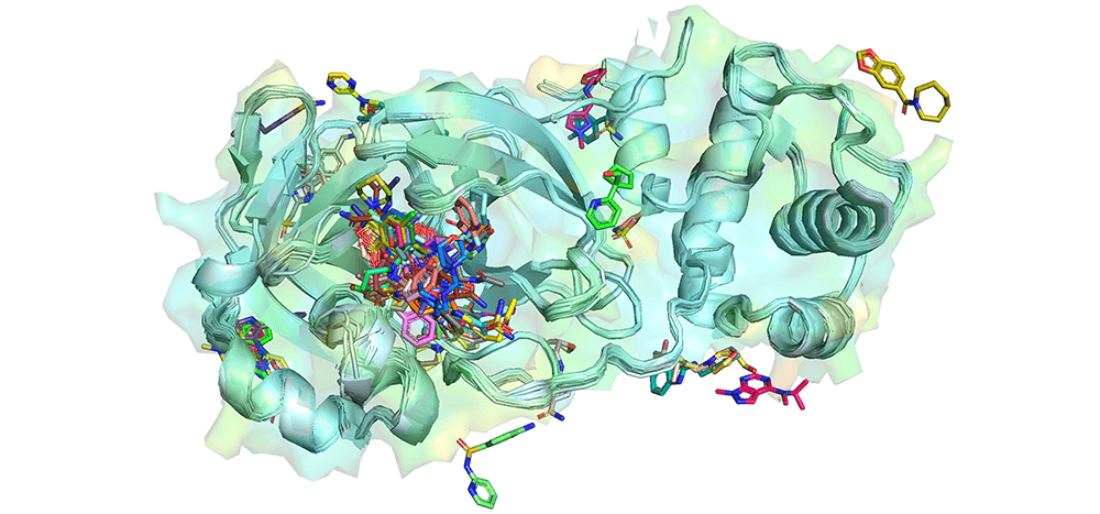 Waterloo researchers study coronavirus structure to help design drugs for current and future pandemics