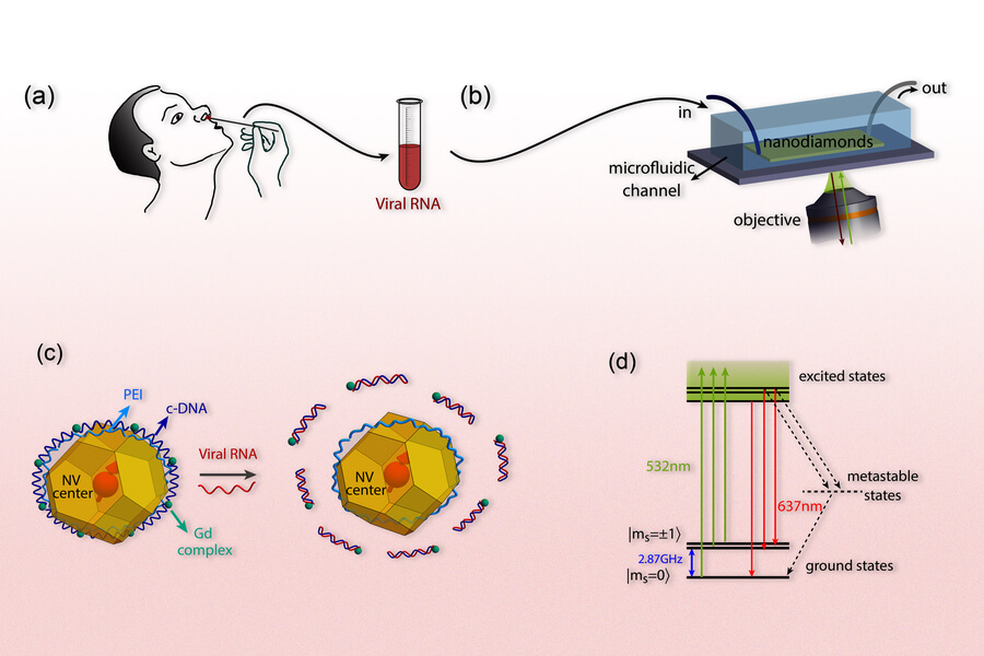 Sensor based on quantum physics could detect SARS-CoV-2 virus