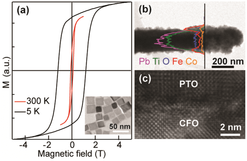 Magnetoelectric Coupling in New Composite Multiferroic Nanostructures as High-Density Quantum Multistate Memory Elements