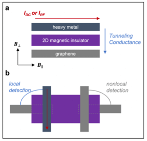Coherent magnon generation, magnon condensation, and quantum spin liquids via spin pumping in 2D magnets