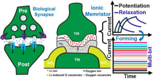 Here, the yellow spheres represent Li-ion-induced vacancies, and the gray ones are native oxygen vacancies already in TiOx. Li ions preferably combine with oxygen and chemically reduce Ti, which has similar effects as forming oxygen defects in TiOx (reducing x). Therefore, the Li-ion insertion/extraction increases/decreases the device conductivity accordingly. Li migration is similar to oxygen migration but it is much easier and happens readily at room temperature and low current densities, i.e., no set/reset voltages/currents or current induces hotspots are needed. The current amplitude can vary well over an order of magnitude in these processes, depending on the history. The devices therefore possess history-dependent volatile memory suitable for neuromorphic applications.